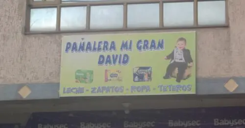 PANALERA MI GRAN DAVID PANALERA MI GRAN DAVID